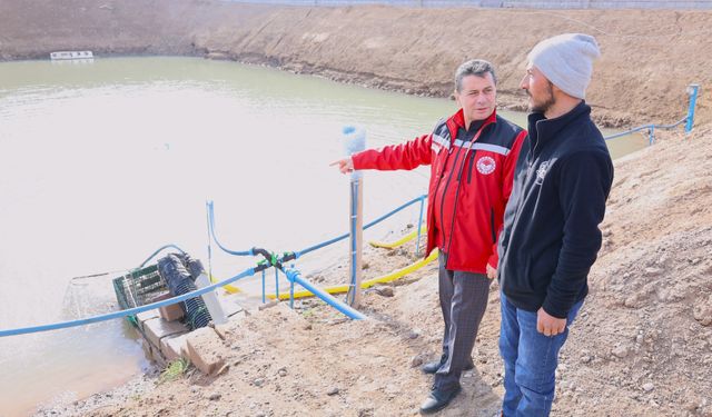 İl Müdürü Memiş, sazan balığı üretim tesisini gezdi