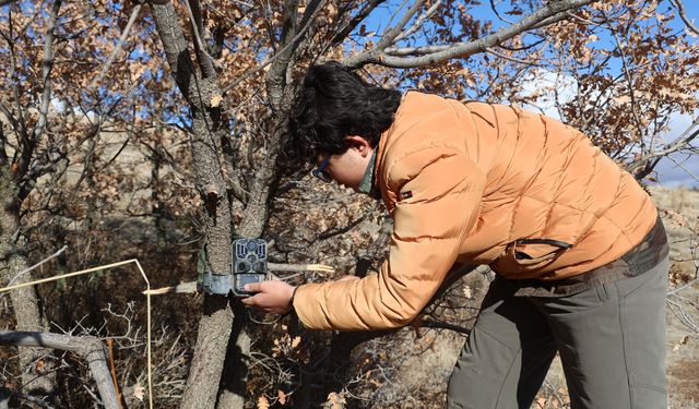 Genç doğa tutkunu yaban hayatını kayıt altına alıyor