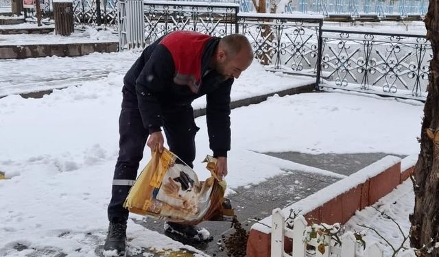 Avanos’ta sokak hayvanları unutulmadı