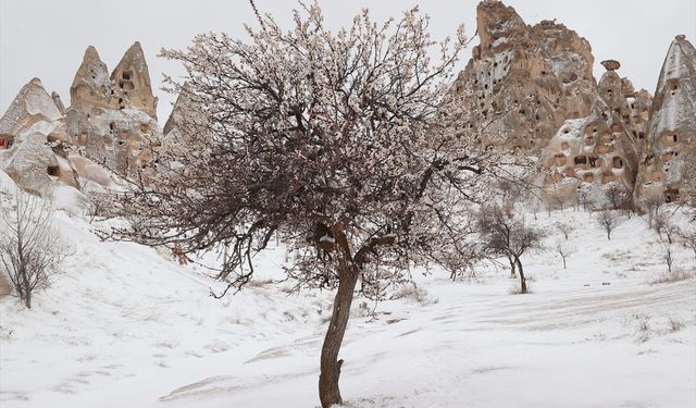 Kapadokya’da ilkbahar çiçekleri karla buluştu