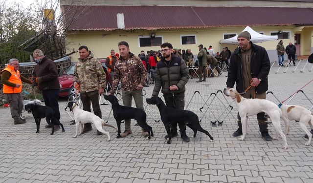 Nevşehirli yarışmacı cins köpeğiyle ikincilik elde etti