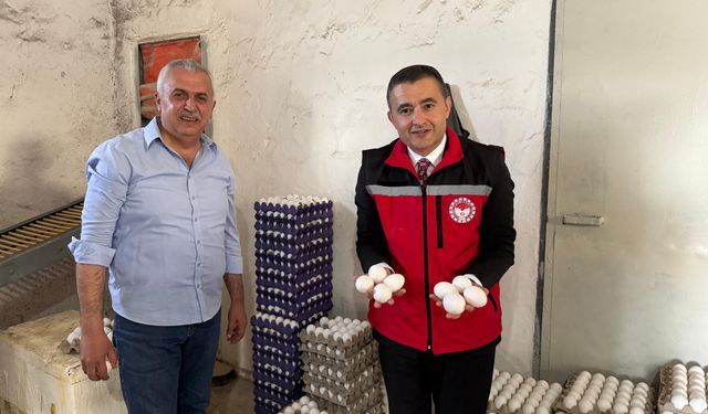 Kaymakam Bilici, yumurta üretim tesisini inceledi