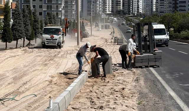 Nar beldesinde çalışmalar devam ediyor