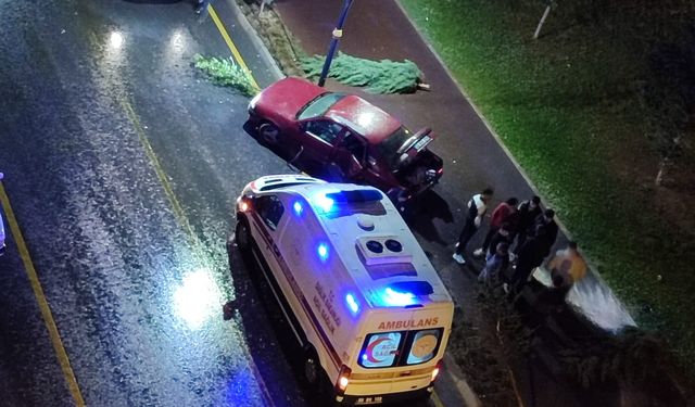 Otomobil ağaçlara ve sokak lambasına çarptı