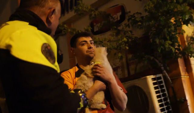 Köpeğini korumak isteyen alkollü sürücü kaza yaptı