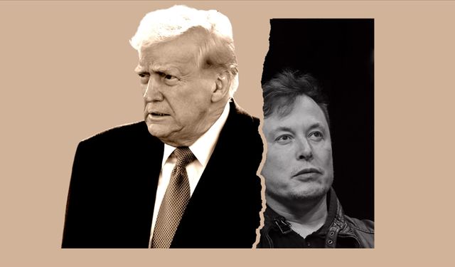 Musk, Trump'ın danışmanlığından ayrıldığını duyurdu