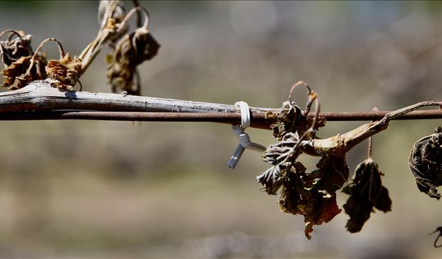 Nevşehir’de üreticiler bilgilendiriliyor
