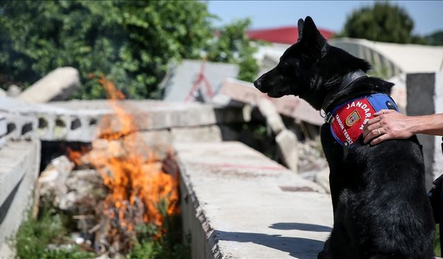 Nevşehir'den Türkiye'nin güvenliğine ‘Bronz’ destek