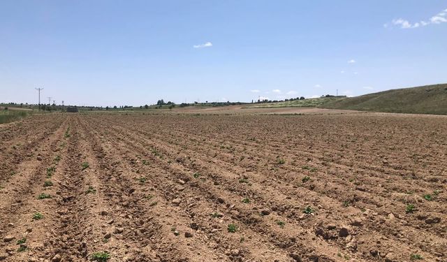 Ziraat odası arazi kontrollerini sürdürüyor