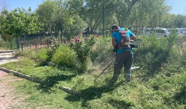 Avanos’ta yeşil alanlara bakım