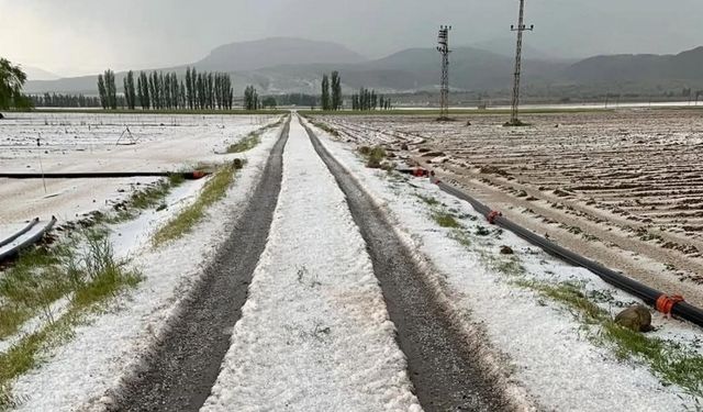 Nevşehir'de sel ve dolu tarım arazilerini vurdu