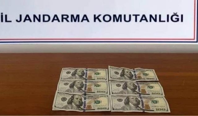 Avanos’ta sahte dolar operasyonu