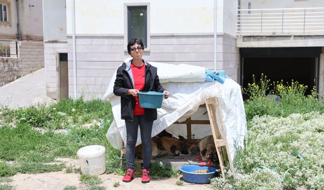 Ömrünün yarısını sokak hayvanlarına adadı