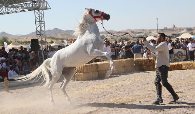 Kapadokya’da en güzel atlar seçildi