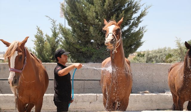 Aşırı sıcaklar Kapadokya'da sakinliğe neden oluyor