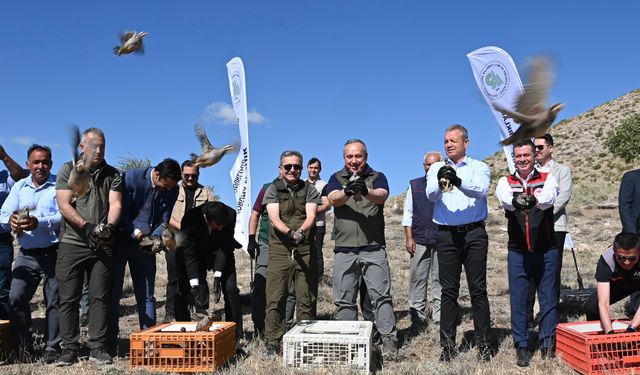 600 kınalı keklik doğaya bırakıldı