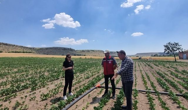 Ekipler tarımda verimliliği artırmak için sahada