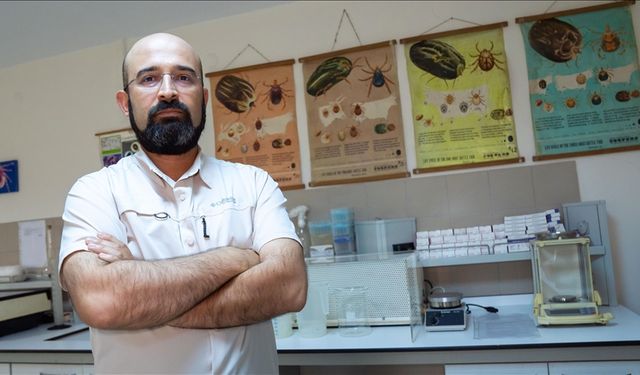 "Kene riski şehirlerden çok kırsalda yüksek"