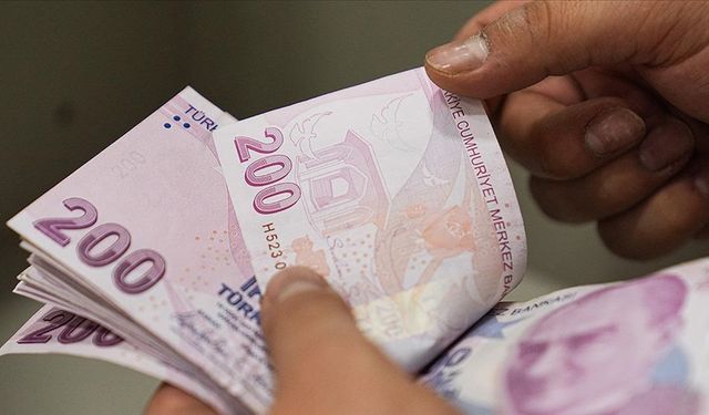 Sosyal ve Ekonomik Destek ödemeleri hesaplara yatırıldı