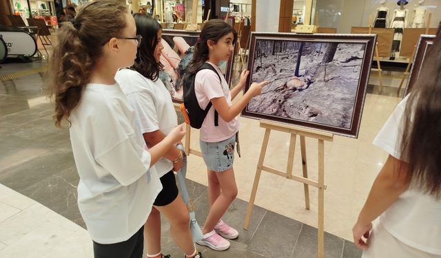 Yangınların acı hatırası fotoğraflara yansıdı