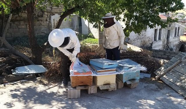 Arılı kovan desteklemeleri için tespit çalışmaları sürüyor