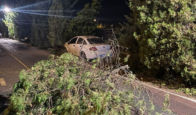 Nevşehir'de kaza yapan sürücü olay yerinden kaçtı