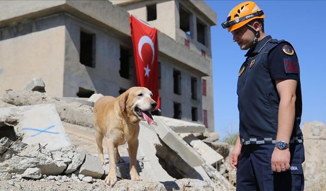 Nevşehir’de eğitilen kadavra köpeği ‘Pusat’ 175 cana ulaştı