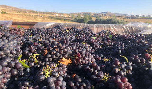 Açıklanan üzüm fiyatlarına sert tepki