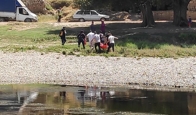 Serinlemek isteyen piknikçiler boğulma tehlikesi geçirdi