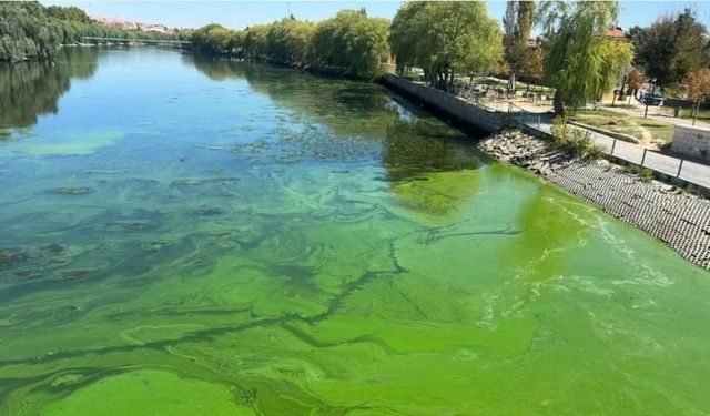 Kızılırmak’ta alg patlaması uyarısı