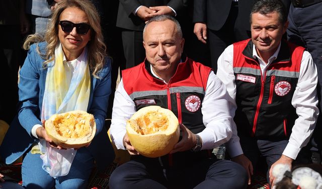 Nevşehir’de kabak çekirdeği hasadı başladı