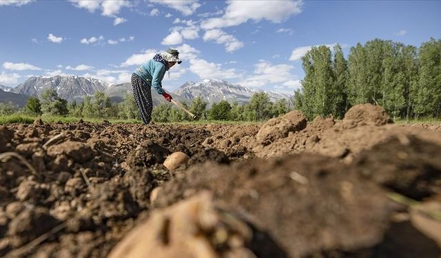 Bakan duyurdu: Ödemeler ne zaman yapılacak?