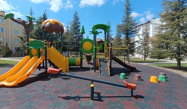 NEVÜ öğrencilerinden üç başarılı proje