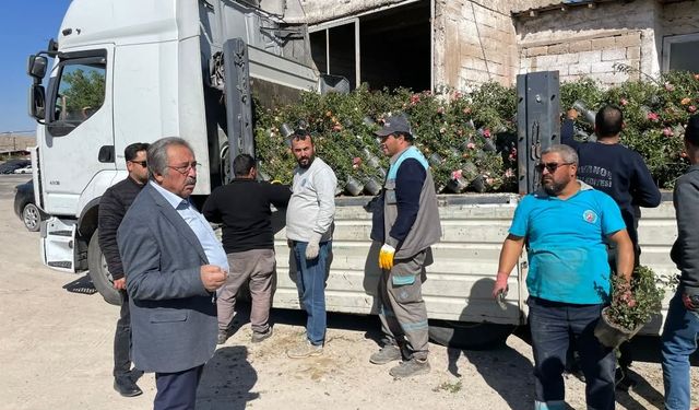 Avanos rengarenk bir görünüme kavuşacak