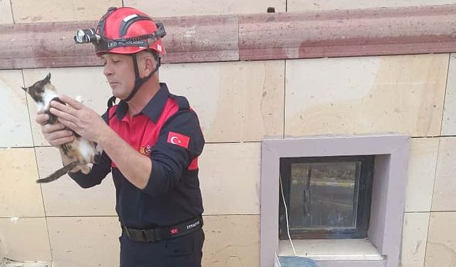 Havalandırma boşluğuna düşen kedi kurtarıldı