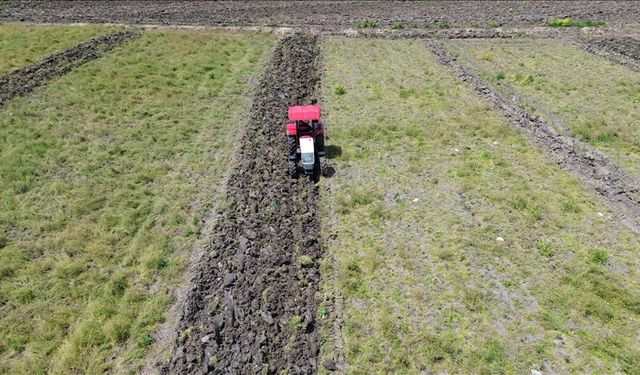 Ürgüp’te genel tarım sayımı devam ediyor