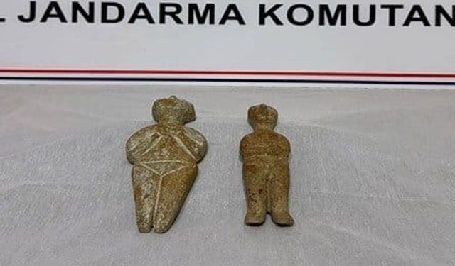 Nevşehir'de tarihi eser operasyonu: 1 gözaltı