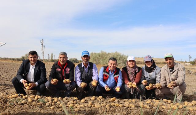 Nevşehir’de yerli ve milli patateste ilk hasat yapıldı