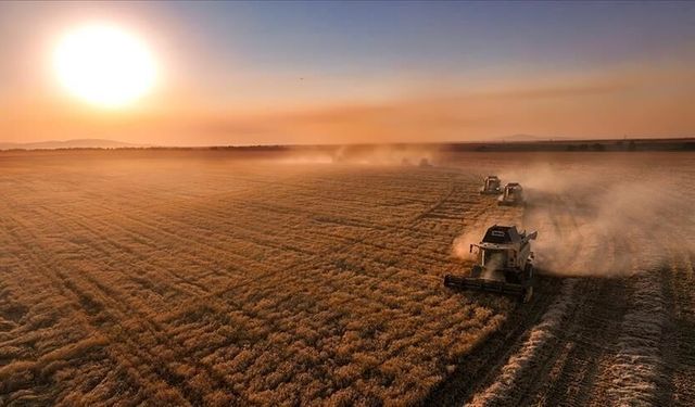 Çiftçilere tarımsal destek ödemesi yapıldı