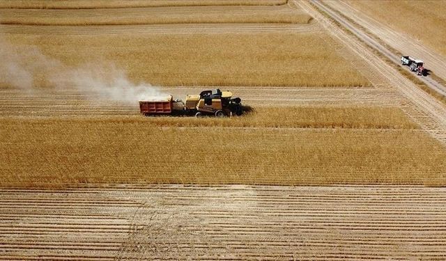 Çiftçiye 2 milyar liralık destek ödemesi