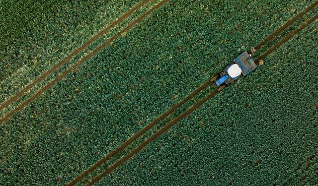 Çiftçilere yeni yıl öncesi büyük destek