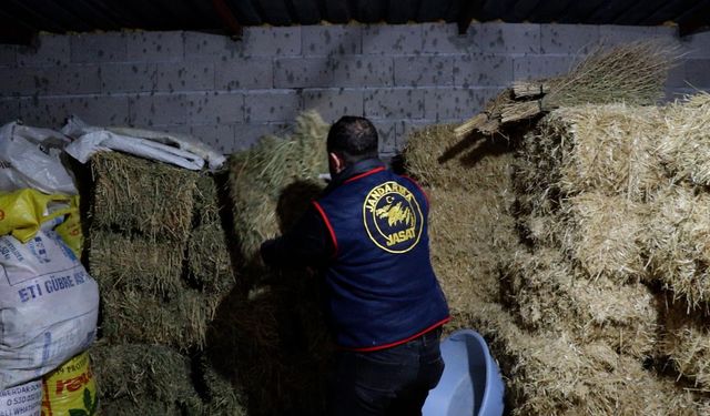 Rüşvet ve tarihi eser suçlarına jandarma darbesi: 4 gözaltı