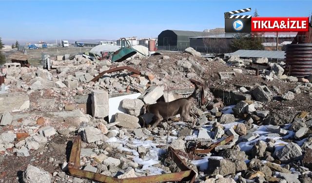 Nevşehir JAKEM'in sessiz kahramanı umut olmak için eğitiliyor