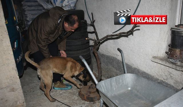 Nevşehir’den 6 ile uzanan operasyon! Çok sayıda gözaltı ve 15 tutuklama