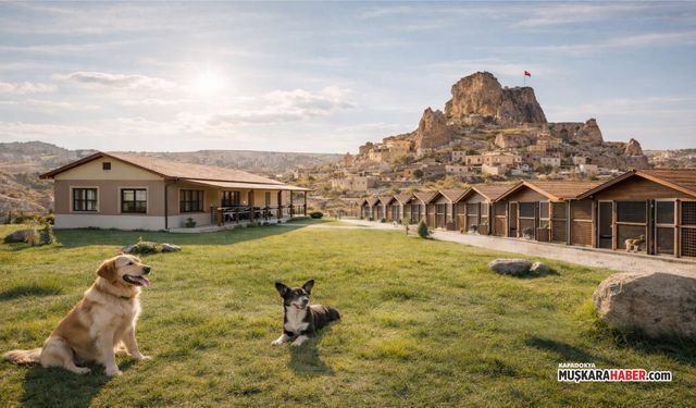 Hayvanseverleri sevindiren haber: Ürgüp’e yeni bakımevi yapılacak
