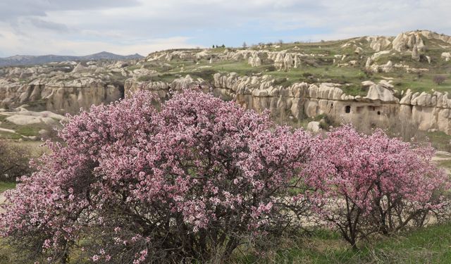 UNESCO Mirası Kapadokya’da bahar büyüsü başladı