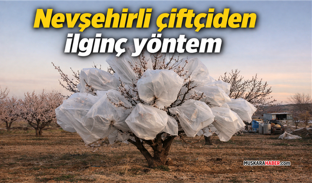 Nevşehir’de çiftçinin umut nöbeti: Ağacını korumaya aldı