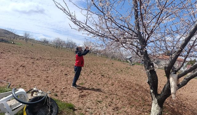 Üreticiler dikkat! Nevşehir’de zirai don riski devam ediyor