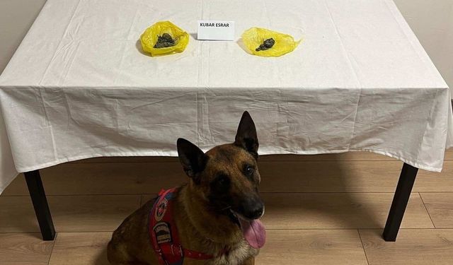 Şüpheliyi tavırları ele verdi: Aracında uy*şturucu yakalandı