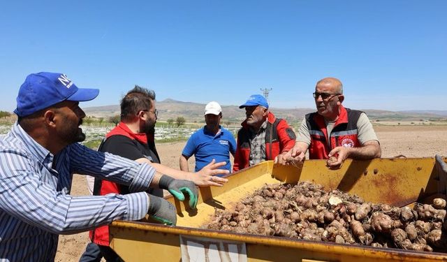 Nevşehir’de yer elması üretimi ilk kez bu ölçekte yapıldı